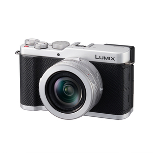 PANASONIC LUMIX DC-L10 SILBER