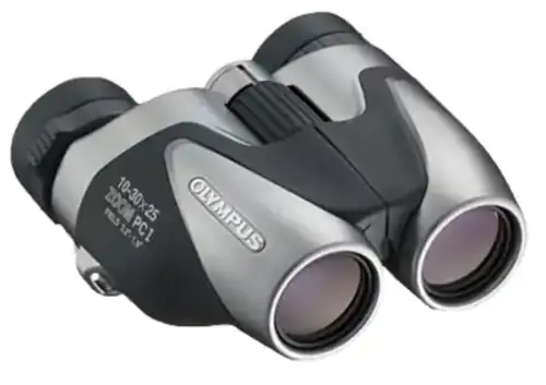 OLYMPUS 10-30X25 ZOOM PCI SILBER