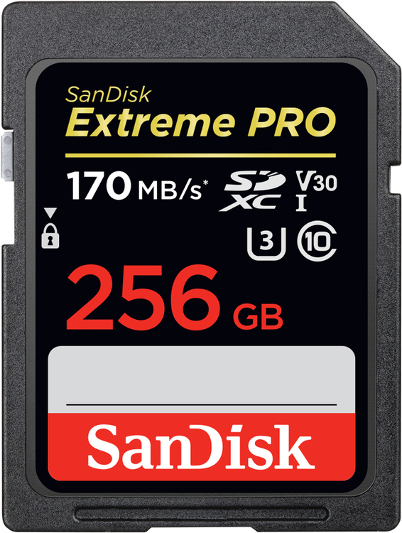 SANDISK 256 GB SDXC EXTREMEPRO 170MB/S V30 UHS-I U3 SPEICHERKARTE