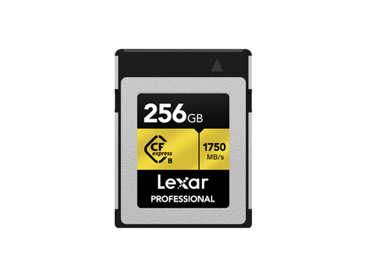 LEXAR CFEXPRESS LCFX10-CRB 256 GB TYPE B PROFESSIONAL SPEICHERKARTE